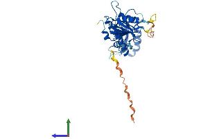 Protein Structure (PS) image for Adenosine Deaminase, tRNA-Specific 3 (ADAT3) (AA 1-351) protein (His tag) (ABIN7552027)