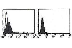 Flow Cytometry (FACS) image for anti-cDNA Sequence AF251705 (AF251705) antibody (ABIN1108296) (cDNA Sequence AF251705 (AF251705) Antikörper)