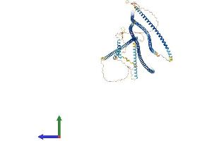 Protein Structure (PS) image for Golgin A2 (GOLGA2) (AA 1-1002) protein (His tag) (ABIN7554026)