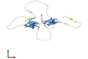 Protein Structure (PS) image for Myotilin (MYOT) (AA 1-496) protein (His tag) (ABIN7561544)