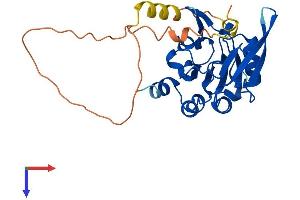 CTDSP2 Protein (AA 1-270) (His tag)