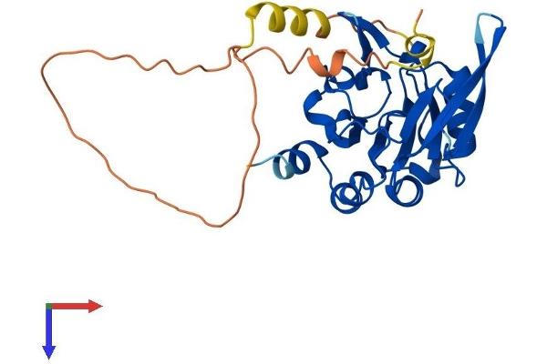 CTDSP2 Protein (AA 1-270) (His tag)