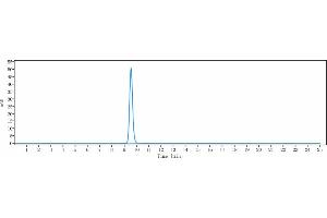 anti-Cannabinoid Receptor 1 (CNR1) antibody