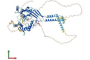 AlphaFold protein structure predicition of Mouse Recombinant Scnn1a Protein, UniprotID Q61180