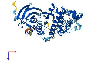 MAPK12 Protein (AA 1-367) (His tag)
