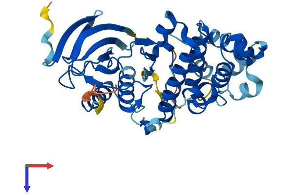MAPK12 Protein (AA 1-367) (His tag)