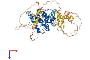 NR0B1 Protein (AA 1-470) (His tag)