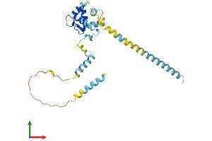 AlphaFold protein structure predicition of Mouse Recombinant Efhd1 Protein, UniprotID Q9D4J1