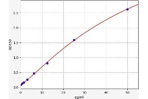 Endothelin 2 ELISA Kit