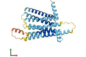 AlphaFold protein structure predicition of Human Recombinant TAS2R1 Protein, UniprotID Q9NYW7
