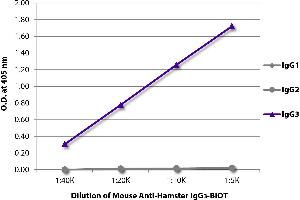 ELISA plate was coated with purified hamster IgG1, IgG2, and IgG3. (Maus anti-Hamster IgG3 Antikörper (Biotin))