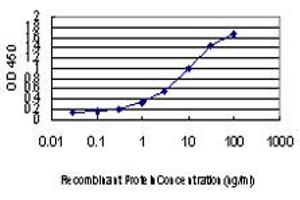 Detection limit for recombinant GST tagged PEPD is approximately 0. (PEPD Antikörper  (AA 1-493))