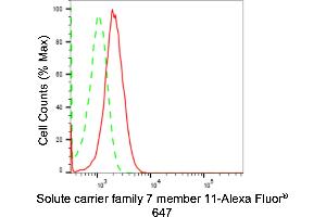 Flow cytometric analysis of Solute carrier family 7 member 11 expression in HepG2 cells using Solute carrier family 7 member 11 antibody (ABIN7800400), 1:2,000).