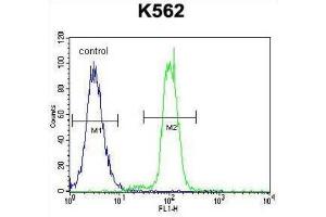 Flow Cytometry (FACS) image for anti-Kruppel-Like Factor 4 (Gut) (KLF4) antibody (ABIN2996460)