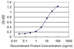 Detection limit for recombinant GST tagged SGCG is 0. (SGCG Antikörper  (AA 191-290))