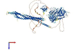 ASAP2 Protein (AA 1-1006) (His tag)