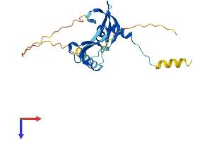 CBX5 Protein (AA 1-191) (His tag)