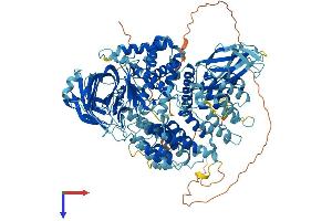 TAF2 Protein (AA 1-1104) (His tag)