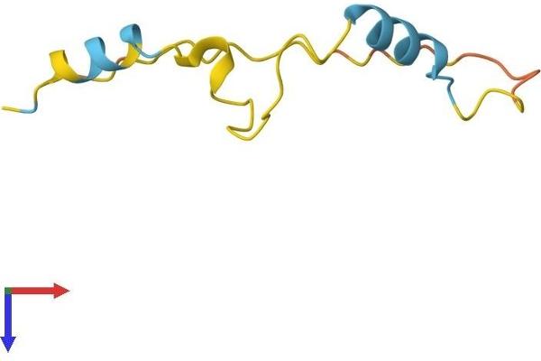 PKIG Protein (AA 1-76) (Fc Tag)