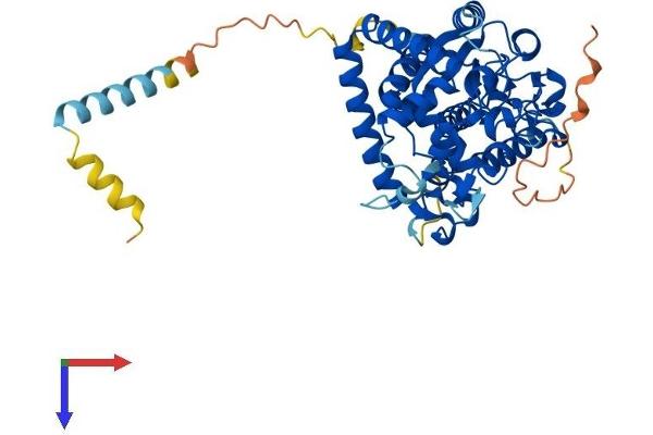 GAL3ST3 Protein (AA 1-431) (His tag)