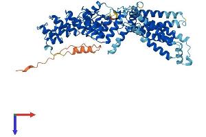 ZDHHC13 Protein (AA 1-622) (His tag)