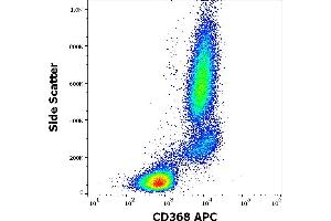 Flow cytometry surface staining pattern of human peripheral whole blood stained using anti-human CD368 (9B9) APC antibody (10 μL reagent / 100 μL of peripheral whole blood). (CLEC4D Antikörper  (APC))