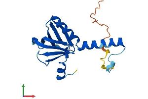 Protein Structure (PS) image for Pleckstrin Homology Domain Containing, Family J Member 1 (PLEKHJ1) (AA 1-164) protein (His tag) (ABIN7560898)