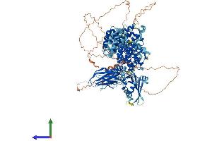 Protein Structure (PS) image for Adaptor-Related Protein Complex 3, beta 1 Subunit (AP3B1) (AA 1-1094) protein (His tag) (ABIN7552127)