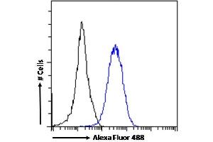 (ABIN625825) Flow cytometric analysis of paraformaldehyde fixed HeLa cells (blue line), permeabilized with 0.