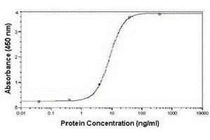 ELISA image for anti-Very Low Density Lipoprotein (VLDL) antibody (ABIN2467933) (Very Low Density Lipoprotein (VLDL) Antikörper)