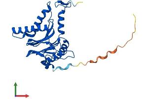 Protein Structure (PS) image for Proteasome Subunit alpha Type 1 (PSMA1) (AA 1-263) protein (His tag) (ABIN7551067)