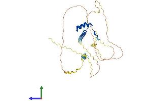 Protein Structure (PS) image for H6 Family Homeobox 3 (HMX3) (AA 1-357) protein (His tag) (ABIN7548345)