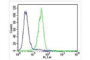 Overlay histogram showing U-87 MG cells stained with (ABIN656585 and ABIN2845847) (green line). (PLOD1 Antikörper  (N-Term))