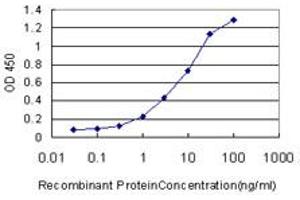 Detection limit for recombinant GST tagged ARHGDIA is approximately 0. (ARHGDIA Antikörper  (AA 1-204))