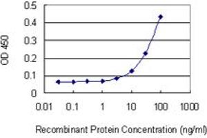 Detection limit for recombinant GST tagged SETDB2 is 3 ng/ml as a capture antibody. (SETDB2 Antikörper  (AA 620-719))
