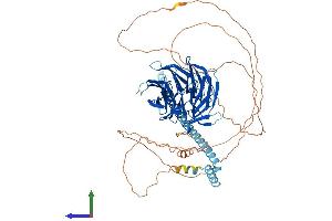 Protein Structure (PS) image for Transducin-Like Enhancer Protein 2 (TLE2) (AA 1-743) protein (His tag) (ABIN7555790)