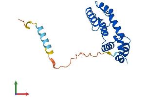 Protein Structure (PS) image for Regulator of G-Protein Signaling 5 (RGS5) (AA 1-181) protein (His tag) (ABIN7551381)