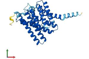 AlphaFold protein structure predicition of Mouse Recombinant Aqp11 Protein, UniprotID Q8BHH1 (AQP11 Protein (AA 1-271) (His tag))