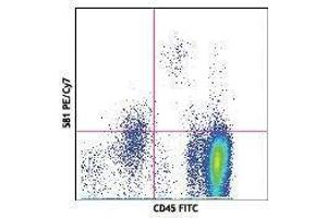 Flow Cytometry (FACS) image for anti-CD34 (CD34) antibody (PE-Cy7) (ABIN2659497)