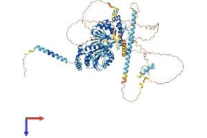 DDX10 Protein (AA 1-875) (His tag)