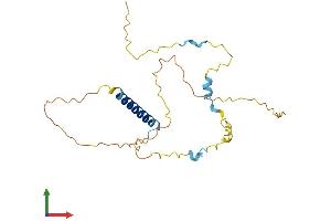 AlphaFold protein structure predicition of Human Recombinant INCA1 Protein, UniprotID Q0VD86