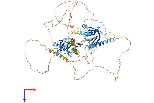 APBA2 Protein (AA 1-749) (His tag)
