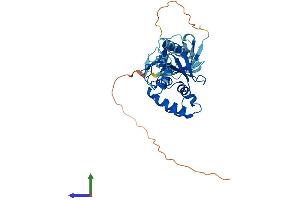 Protein Structure (PS) image for Ubiquitin Thioesterase OTU1 (YOD1) (AA 1-343) protein (His tag) (ABIN7559223)