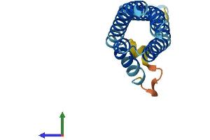 Protein Structure (PS) image for Cornichon Homolog 3 (CNIH3) (AA 1-160) protein (His tag) (ABIN7558148)