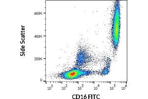 Flow cytometry surface staining pattern of human peripheral whole blood stained using anti-human CD16 (LNK16) FITC (20 μL reagent / 100 μL of peripheral whole blood). (CD16 Antikörper  (FITC))