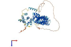 FANCE Protein (AA 1-536) (His tag)