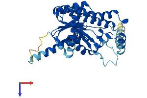 RDH10 Protein (AA 1-341) (His tag)