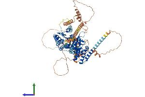 Protein Structure (PS) image for Patatin-Like phospholipase Domain Containing 8 (PNPLA8) (AA 1-782) protein (His tag) (ABIN7554961)