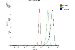 Flow Cytometry analysis of U87 cells using anti-14-3-3 Gamma/YWHAG antibody (ABIN7599673).