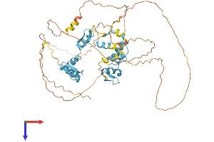 PLAG1 Protein (AA 1-500) (His tag)